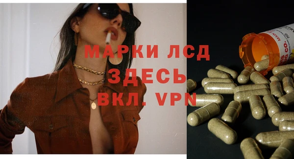 индика Вязники