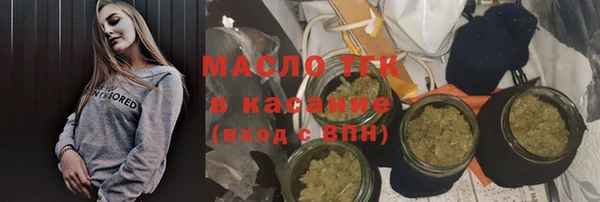 индика Вязники