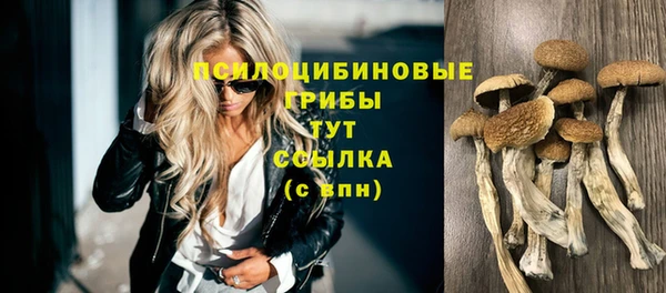 спайс Вязьма