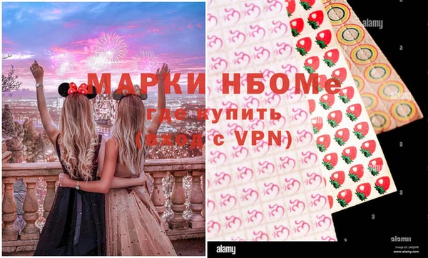 индика Вязники