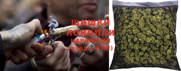 индика Вязники