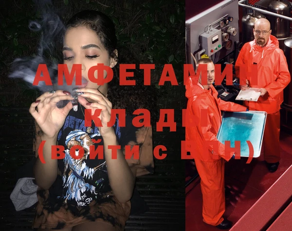 индика Вязники