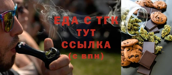 индика Вязники
